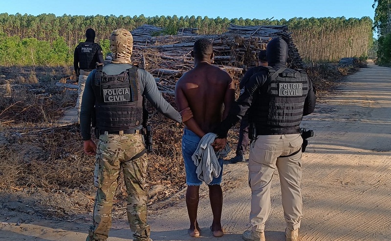 Polícia Civil de Teixeira prende cinco suspeitos de incendiar e furtar florestas de eucalipto