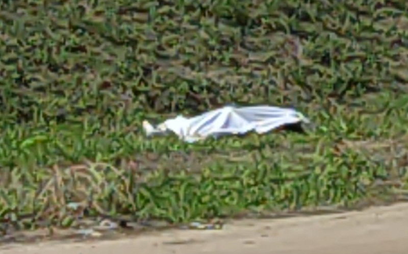 Corpo de homem que foi atropelado às margens da BR-101 em Teixeira continua sem Identificação no IML