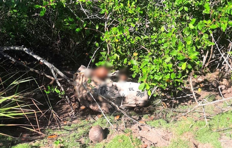 Homem encontrado morto enrolado em colchão em Santa Cruz Cabrália