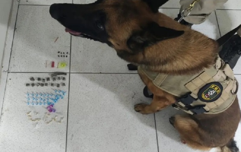 Cão policial localiza drogas em Santa Cruz Cabrália