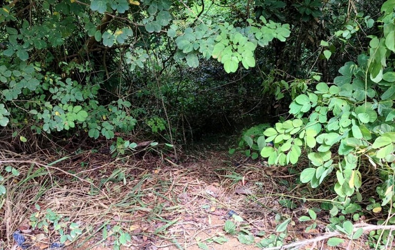 Corpo de pedreiro é encontrado em estrada de terra em Porto Seguro